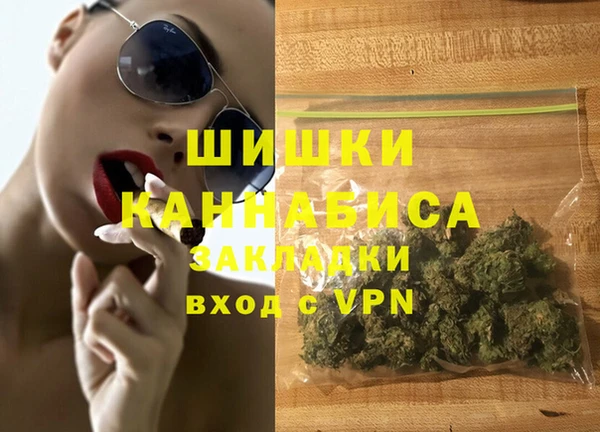 индика Алексин