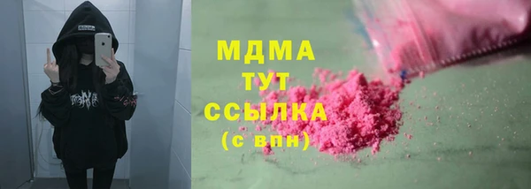 индика Алексин