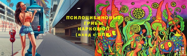 прущие грибы Алексеевка