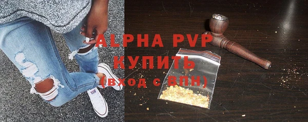 индика Алексин