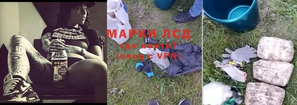 индика Алексин