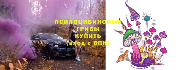 бошки Алзамай