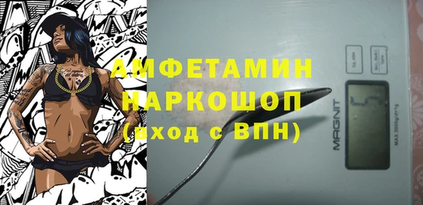 индика Алексин