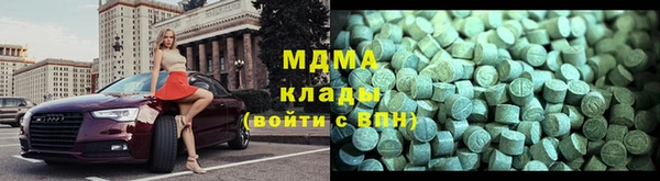 индика Алексин