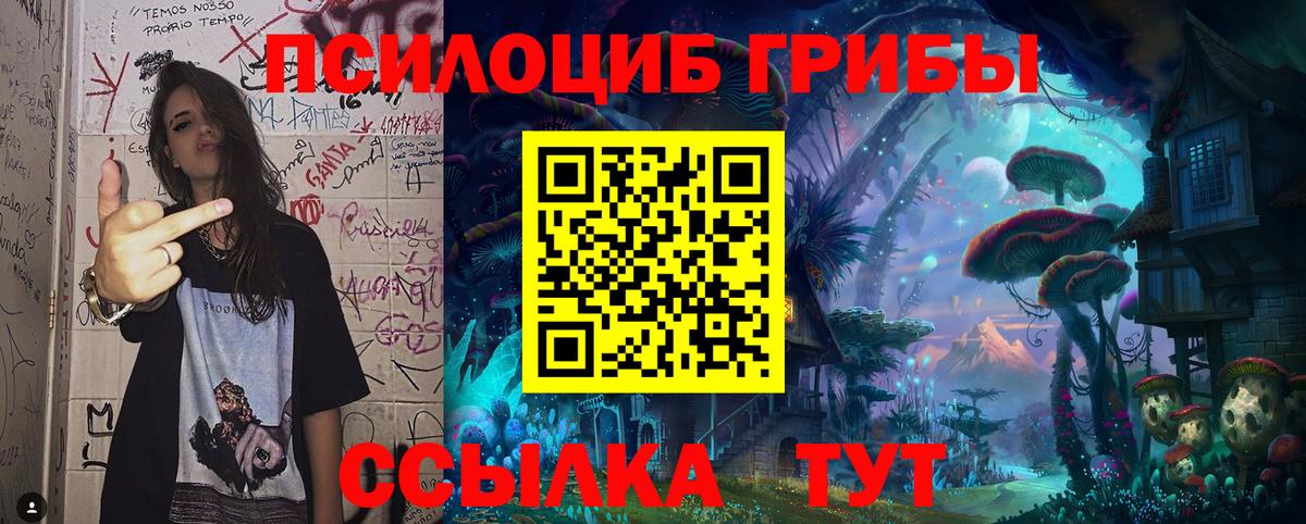 Галлюциногенные грибы MAGIC MUSHROOMS  Псилоцибиновые грибы MAGIC MUSHROOMS  Волжский  Вход с VPN 